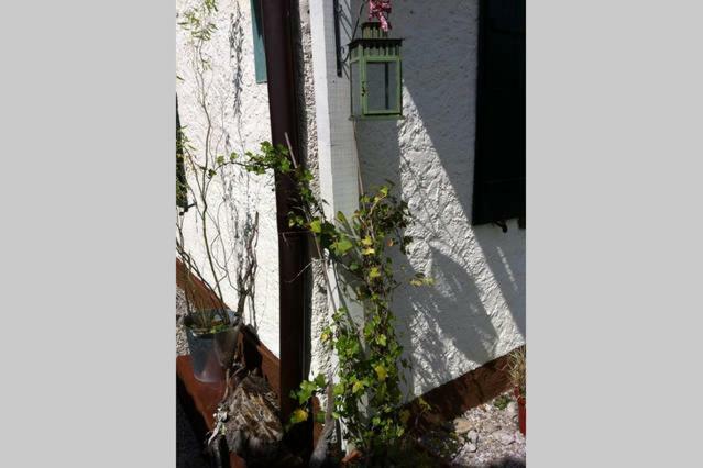 Ferienwohnung Haus Tulpe Strobl Exterior foto